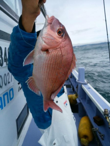 新幸丸 釣果