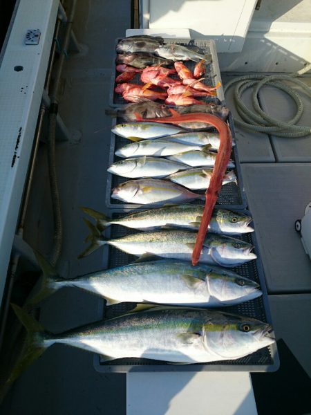 エンペラー 釣果