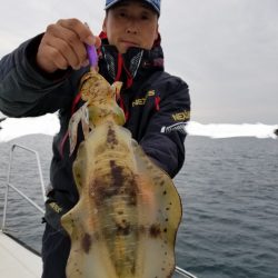 ソルトウォーターガイドフレンズ 釣果