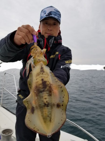 ソルトウォーターガイドフレンズ 釣果