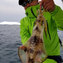 ソルトウォーターガイドフレンズ 釣果