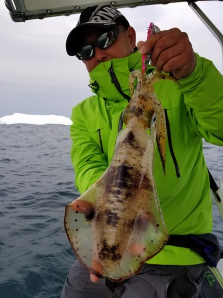 ソルトウォーターガイドフレンズ 釣果