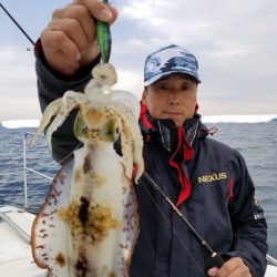 ソルトウォーターガイドフレンズ 釣果