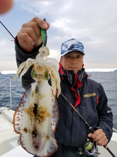 ソルトウォーターガイドフレンズ 釣果