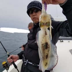 ソルトウォーターガイドフレンズ 釣果