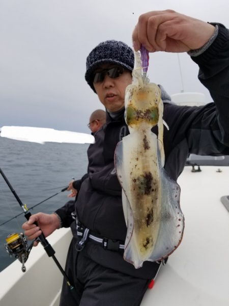 ソルトウォーターガイドフレンズ 釣果