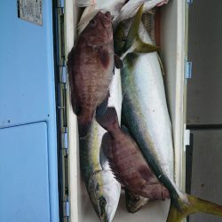 エンペラー 釣果