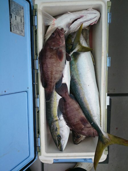 エンペラー 釣果