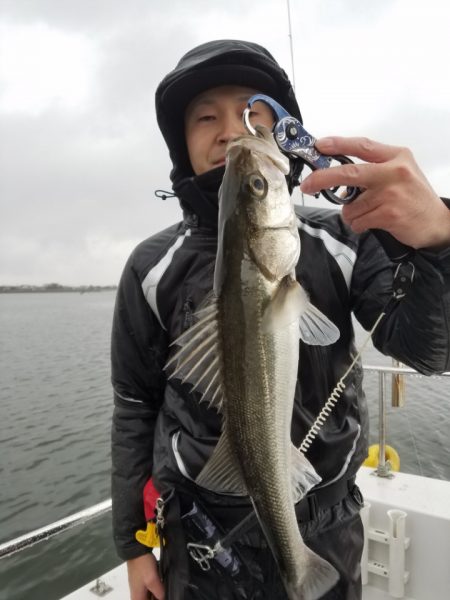 海龍丸（島根） 釣果