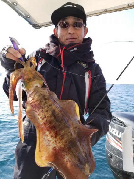 ソルトウォーターガイドフレンズ 釣果