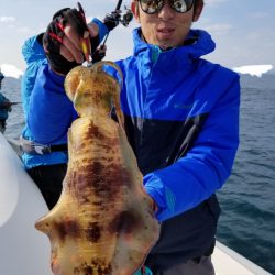 ソルトウォーターガイドフレンズ 釣果