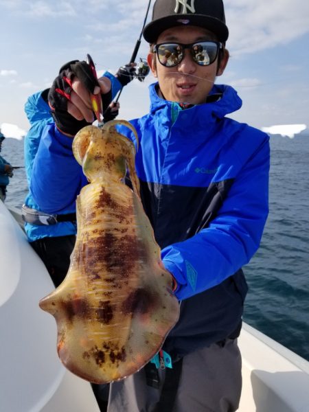 ソルトウォーターガイドフレンズ 釣果