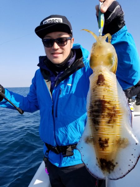 ソルトウォーターガイドフレンズ 釣果