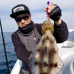 ソルトウォーターガイドフレンズ 釣果