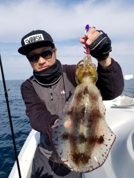 ソルトウォーターガイドフレンズ 釣果