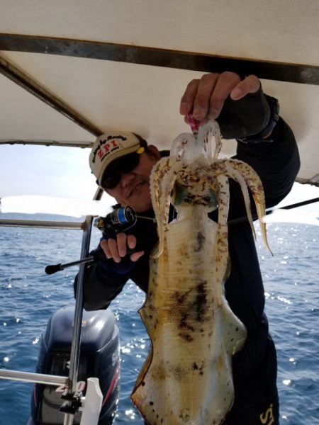 ソルトウォーターガイドフレンズ 釣果