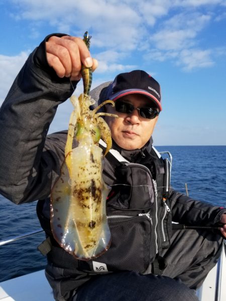 ソルトウォーターガイドフレンズ 釣果