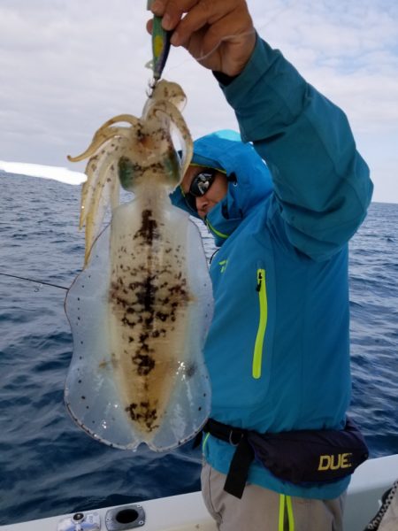 ソルトウォーターガイドフレンズ 釣果