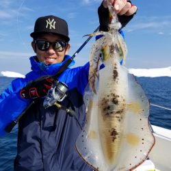 ソルトウォーターガイドフレンズ 釣果