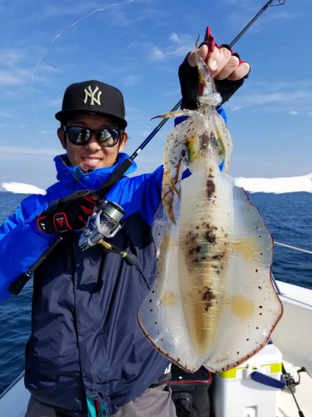 ソルトウォーターガイドフレンズ 釣果