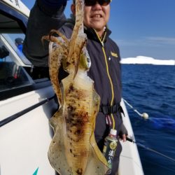 ソルトウォーターガイドフレンズ 釣果