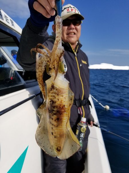 ソルトウォーターガイドフレンズ 釣果