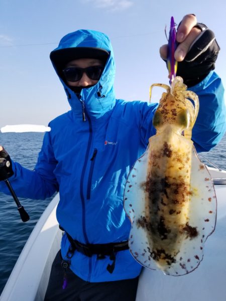 ソルトウォーターガイドフレンズ 釣果