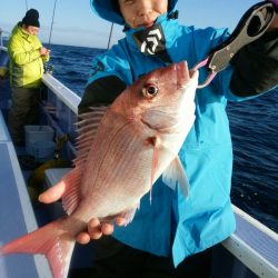 新幸丸 釣果