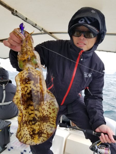 ソルトウォーターガイドフレンズ 釣果