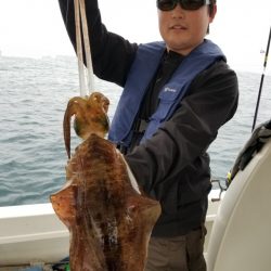 ソルトウォーターガイドフレンズ 釣果