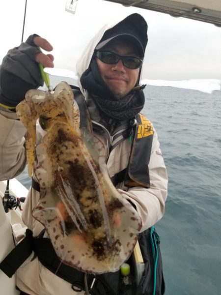 ソルトウォーターガイドフレンズ 釣果