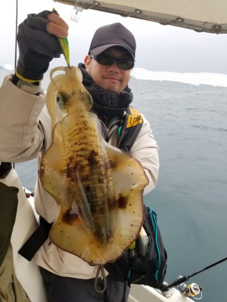 ソルトウォーターガイドフレンズ 釣果