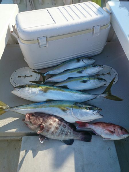 エンペラー 釣果