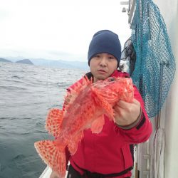 エンペラー 釣果