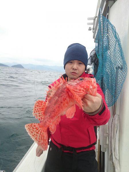 エンペラー 釣果