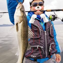 アマテラス 釣果