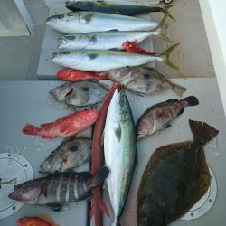 エンペラー 釣果