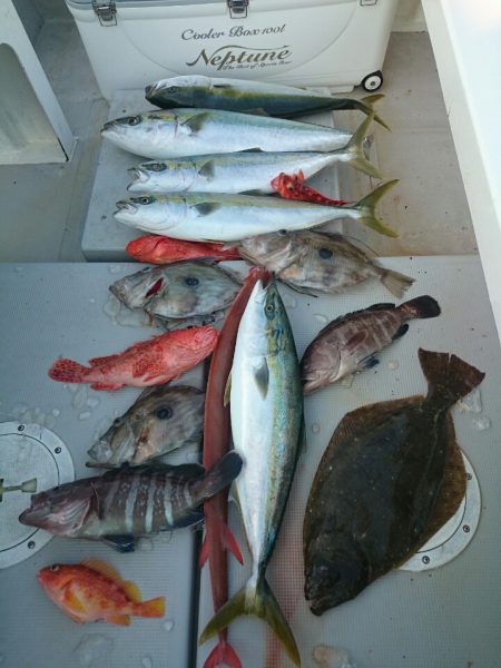 エンペラー 釣果