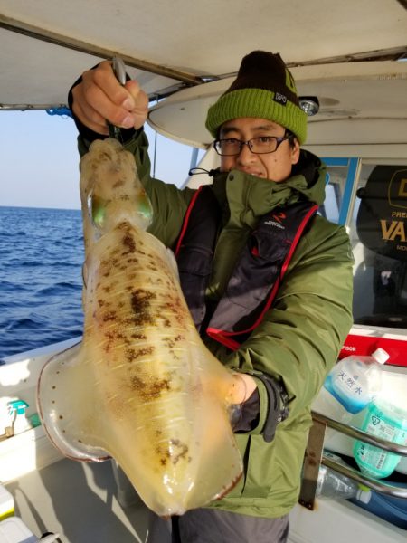 ソルトウォーターガイドフレンズ 釣果