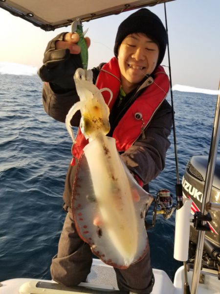 ソルトウォーターガイドフレンズ 釣果