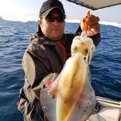 ソルトウォーターガイドフレンズ 釣果