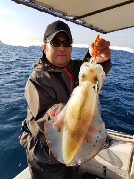 ソルトウォーターガイドフレンズ 釣果