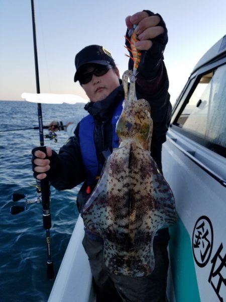 ソルトウォーターガイドフレンズ 釣果