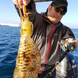 ソルトウォーターガイドフレンズ 釣果