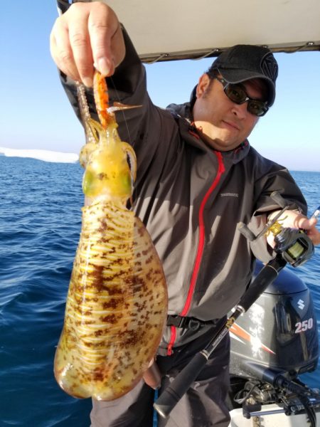 ソルトウォーターガイドフレンズ 釣果