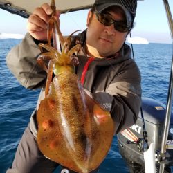 ソルトウォーターガイドフレンズ 釣果