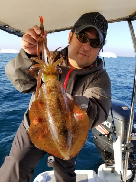 ソルトウォーターガイドフレンズ 釣果