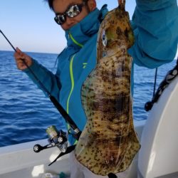 ソルトウォーターガイドフレンズ 釣果