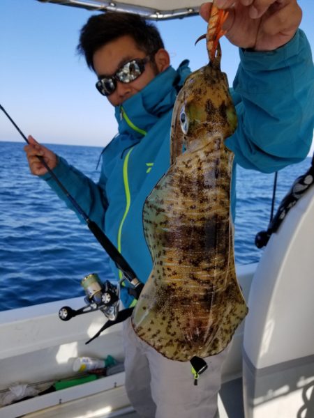 ソルトウォーターガイドフレンズ 釣果