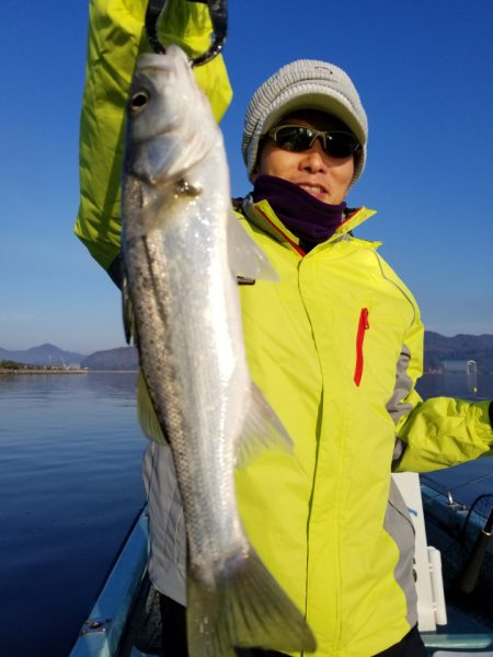 アマテラス 釣果